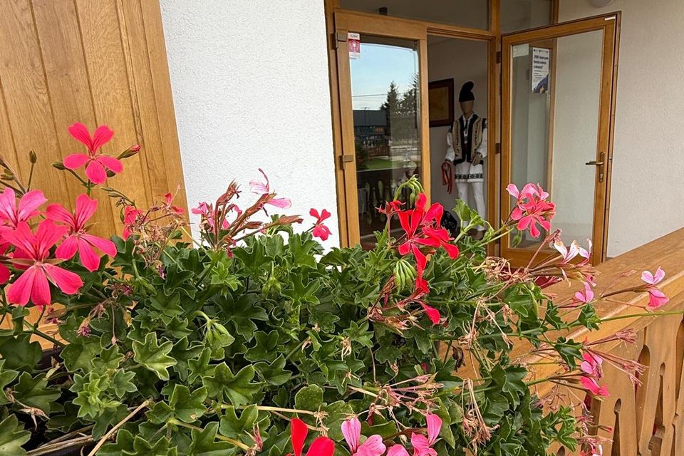 Ghivece cu mușcate roșii în pridvorul de la intrarea muzeului